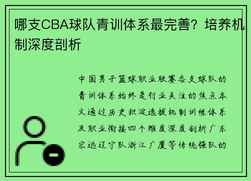 哪支CBA球队青训体系最完善?培养机制深度剖析